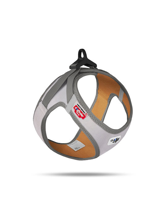 Curli Glow Clasp Σαμαράκι Reflective Γκρι Small Περίμετρος Στέρνου 38 3-43 3cm