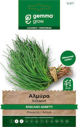 Gemma Almyra 1g Samenpaket Salsola Soda 'roscano Agretti' Gemma Almyra 1g Samenpaket Salsola Soda 'roscano Agretti'