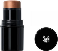 Dr Hauschka Lip To Cheek Highlighters Stick Shade 04 6.1g