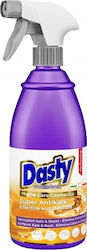 Dasty Επαγγελματικό Καθαριστικό Spray Κατά των Αλάτων 700ml