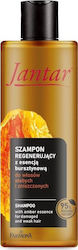 Farmona Reconstruction/Nourishment Shampoo 300ml Farmona Reconstruction/Nourishment Shampoo 300ml