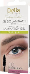 Delia Cosmetics Gel for Eyebrows Black Velvet-Black Metal