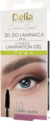 Delia Cosmetics Eyebrow Expert Gel for Eyebrows...