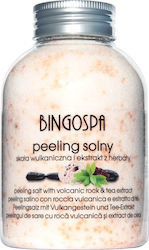 Bingospa Volcanic Rock Salt Scrub Red Tea 580g 6927415 5901842002366