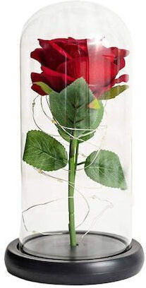 Forever Rose LED Glass Dome 22 cm Base Birthday Anniversary Valentine's Day Red Rc21 OEM