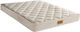 Orion Strom E054 Estia Bamboo Foam 200 Single Ergonomic Mattress 80x180x14cm