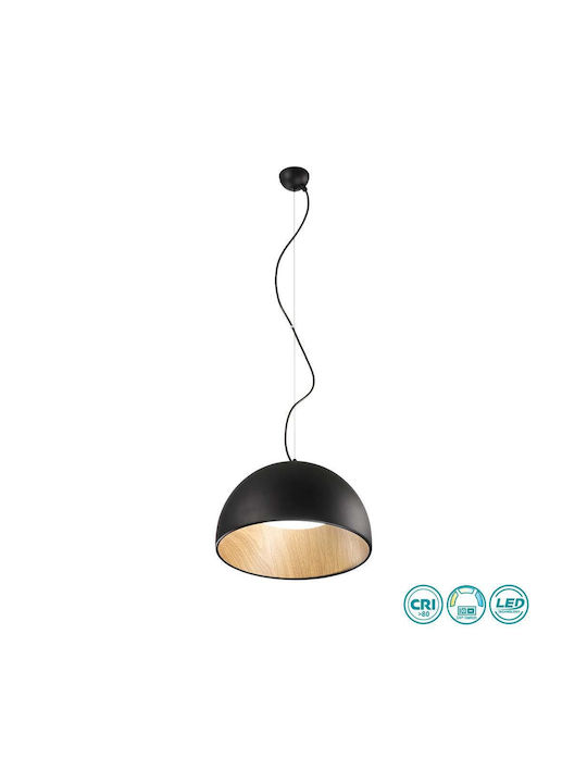 Fan Europe Pendant Light