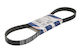 Bosch Grooved Drive Belt