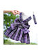 Hundekleid mit Laufleine Lila L 45x33cm 4-5,5kg