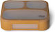 Citron Plastic Kids' Food Container Brown
