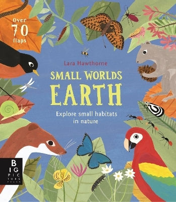 Small Worlds Earth Camilla De La Bedoyere