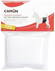Camon Hygienewindeln für Rüden Xsmall