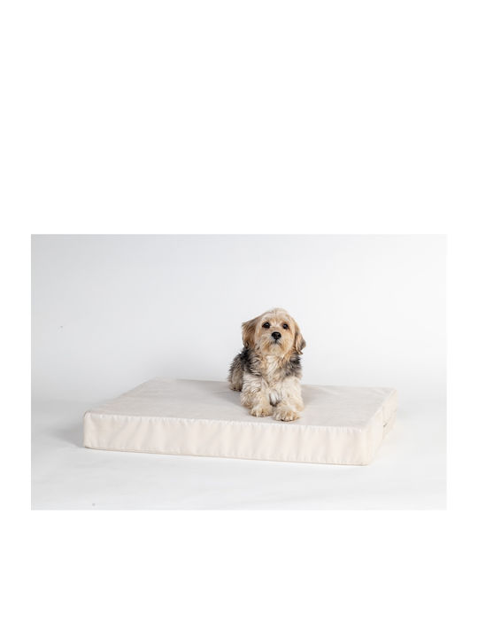 Pet Gallery Dog Bed Mattress 80x55cm Pet Gallery Dog Bed Mattress 80x55cm