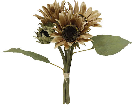 Bouquet of Beige Heliotropium 31cm in Box InTheBox