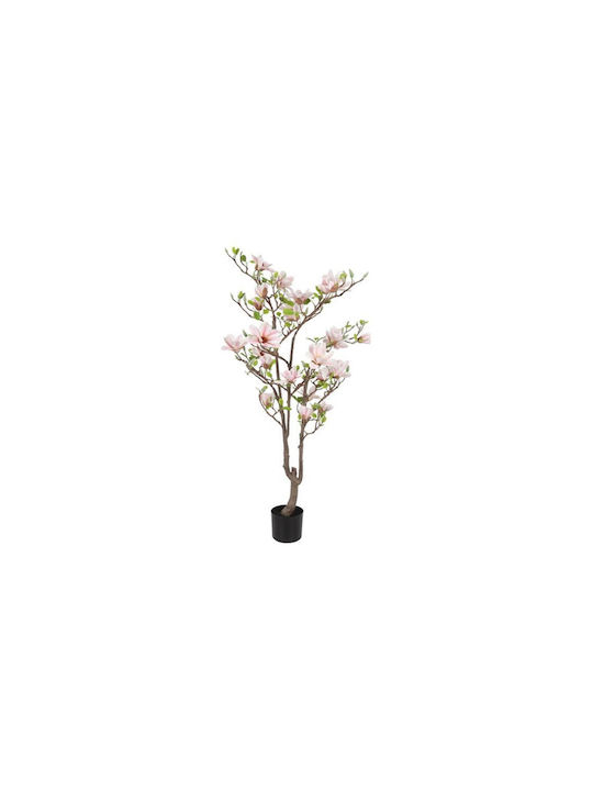 Ghiveci Magnolia Alb-Roz 80xH150cm