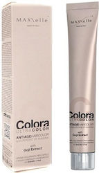 MAXXelle Colora Βαφή Μαλλιών 9.3 Very Light Gol...