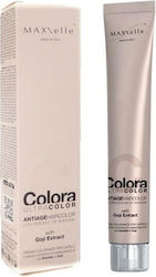 MAXXelle Colora Βαφή Μαλλιών 7.0 Blond 100ml