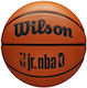 Wilson Basket Ball Outdoor