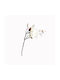 Künstlicher Magnolienzweig Staubblatt Weiß 50 cm 2280-7 Supergreens 2280-7 Weiß