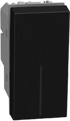 Double Pole Switch 16A 1 Module Dark Light Now