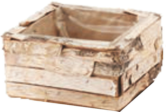 TnS Саксия Дърво Бежов 16x16x9εκ.