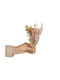 Flower Market Mini Bouquet of Dried Field Flowers Multicolored Dried Flowers Length 18 X Width 10 Cm