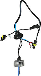 Xenon Σετ Φωτισμού Αυτοκινήτου H7 55W 12V 4300K Φυσικό Λευκό