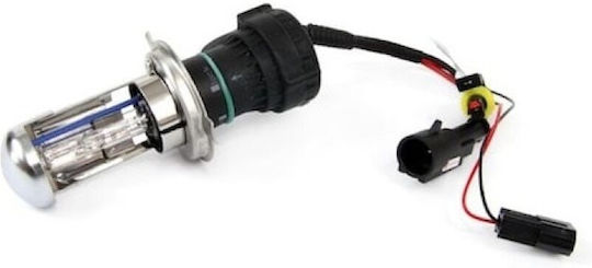 Xenon Set de Iluminare H7 12V 8000K Alb rece