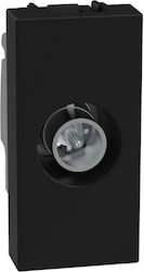 Simple TV Socket 1 Element Dark Light Now