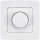 Variator LED 3-300W Alb