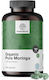 Healthy World Organic Pure Moringa 1650mg 180 κάψουλες