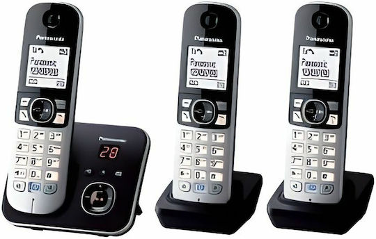 Panasonic KX-TG6823FRB Schnurlostelefon Trio Black/Silver