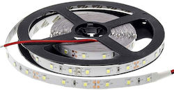 Metanor Ταινία LED 12V Θερμό Λευκό Metanor Ταινία LED 12V Θερμό Λευκό