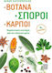 Βοτανα, Σποροι, Καρποι