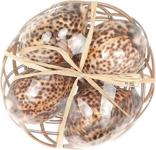 Shell Basket Set of 4, 15cm Diameter