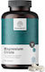 Healthy World Magnesium Citrate 234mg 240 Mützen