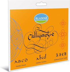 Aladine Geregelt Schulhefte