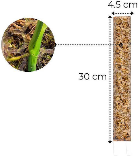 Moss Poles Size Small 30cm X 4.5cm