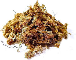 Planting Substrate 0.1kg 8l