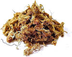 Planting Substrate 0.2kg 8lt Sphagnum200gr