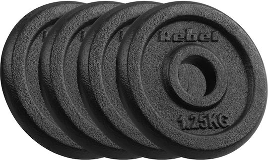 Σετ Δίσκοι Μεταλλικοί 4 x 1.25kg Φ31mm