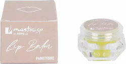 Mastic Spa Panettone Lip Balm 10gr