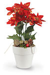 Avra Toys Christmas Decorative Plastic Alexandr...