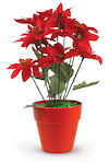 Avra Toys Christmas Decorative Alexandrian 40cm