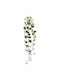 Decorative Hanging Pothos Branch Green Brown 125cm 00-70031-3