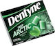 Dentyne Deep Arctic 14Stück 16.8gr