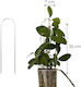 Arch Trellis Plant Support Rod from Plastic