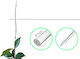 Plant Sticks Μεγεθος 40cm