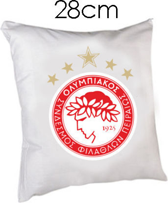 Sofa-Kissen Gruppe 4 28x28cm