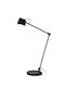 Lucide Lightning Milne LED Floor Lamp with Warm White Light Black